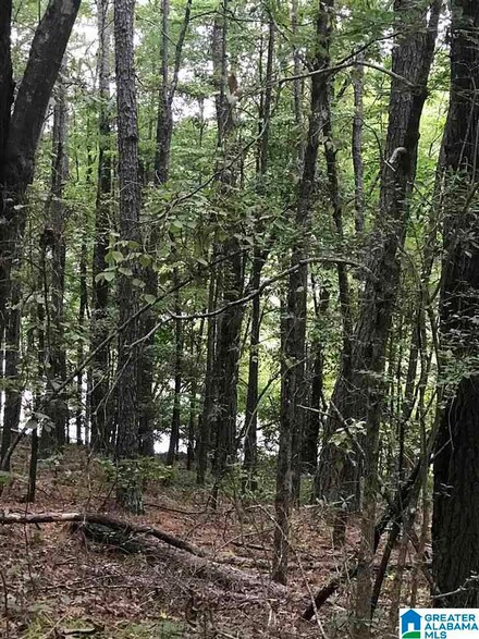 0 Highway 191 Unit 32 21375074, Alpine, AL 35014