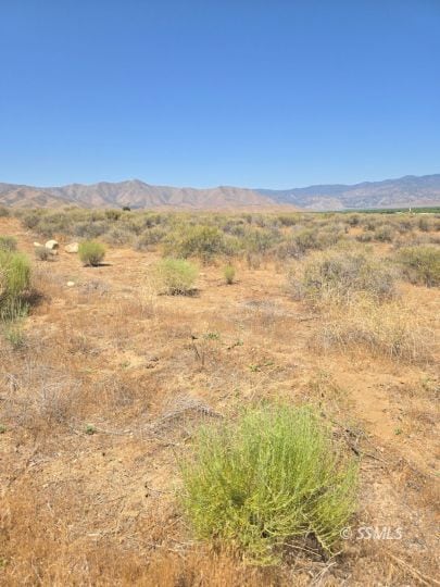 426-390-08 Fly Catcher Dr, Weldon, CA 93283