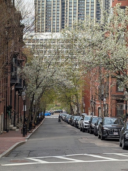 63 Hancock St Unit BF, Boston, MA 02114