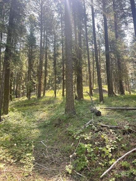 1300 Shore Dr, Cascade, ID 83611