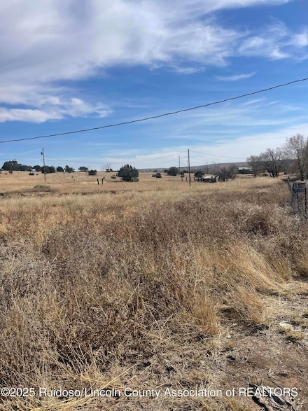 109 Salado Rd, Capitan, NM 88316