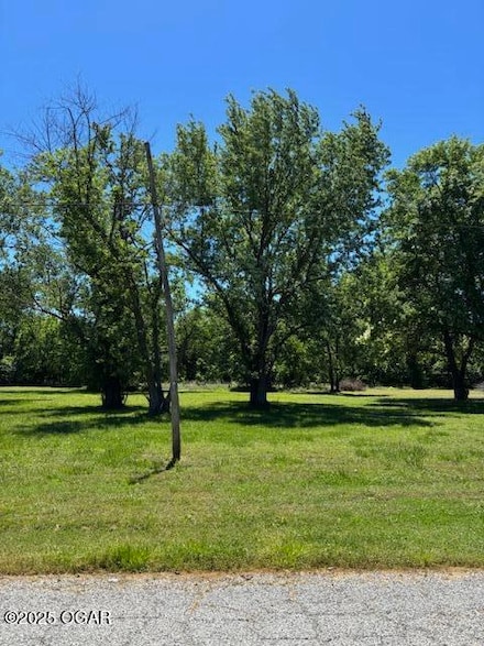215 S Wyandotte Ave, Baxter Springs, KS 66713