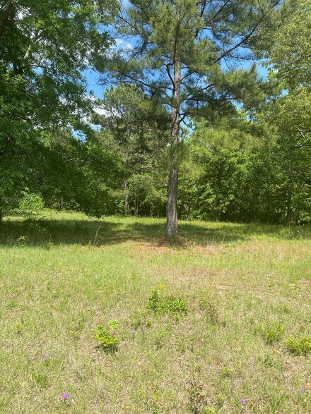 LOT A 15 Camden Way, Hawkinsville, GA 31036