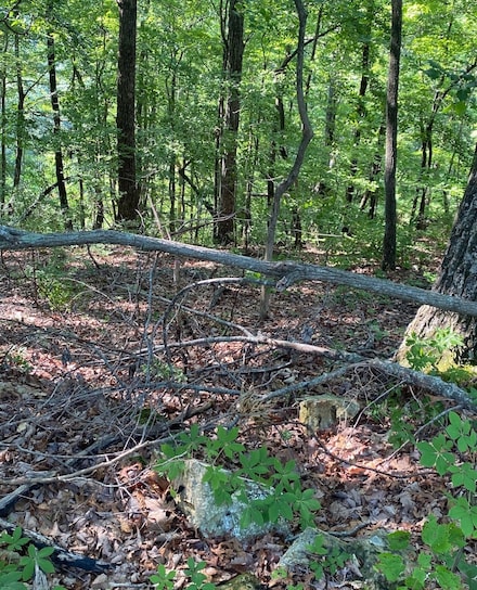 0 Lakeview Dr Unit RTC2668842, Smithville, TN 37166