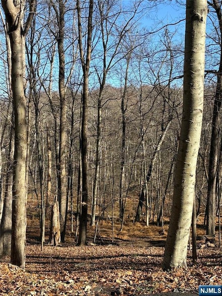 2 Kent Brook Terrace, Kinnelon Borough, NJ 07405