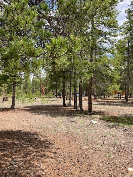 493 & 511 Spruce Dr, Twin Lakes, CO 81251