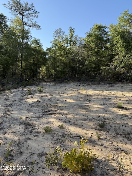 516 Goshun Creek Rd, Chipley, FL 32428