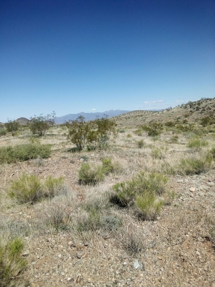 30134 Oconnell Rd, Temple Bar Marina, AZ 86443