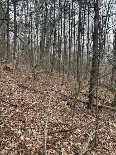 0 Birch Hill Rd, Lawrence Township, PA 16929