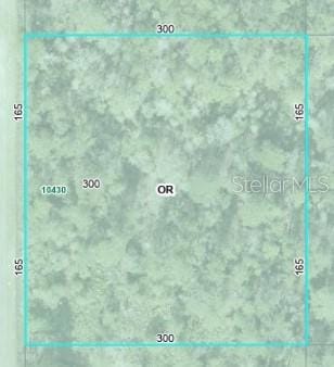 10430 Delgado Ave, Hastings, FL 32145