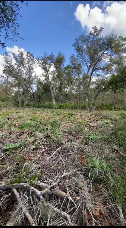 1294 Miliken Terrace, Port Charlotte, FL 33953