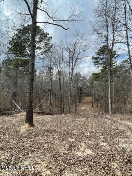 0 Permenter Unit 4041266, Camden, MS 39045