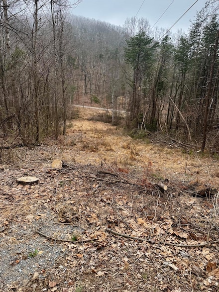 0 Orange Ln, Troutville, VA 24175