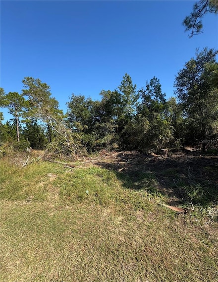 19 Freeport Ln, Palm Coast, FL 32137