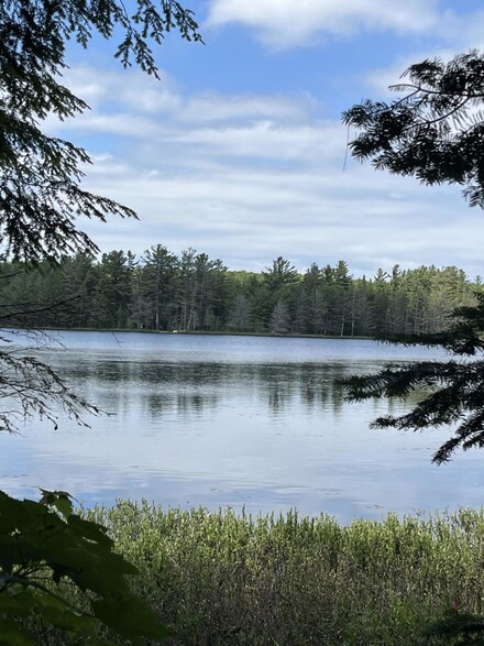 000 Chesbrough Lake Rd, McMillan Township, MI 49868