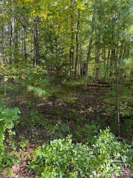 54 Tommy Trail, Sleepy Hollow Lake, NY 12015