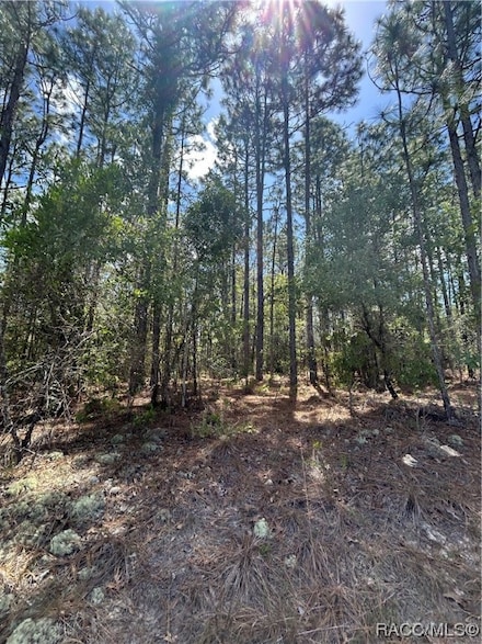 1448 W Donner Dr, Citrus Springs, FL 34434