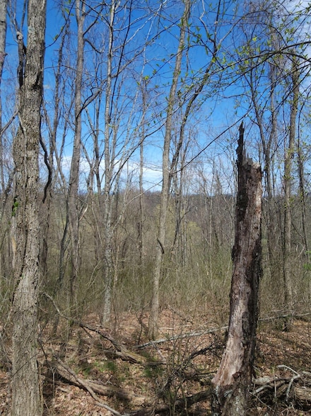 7.28 Acres G Ln W, Ronceverte, WV 24970