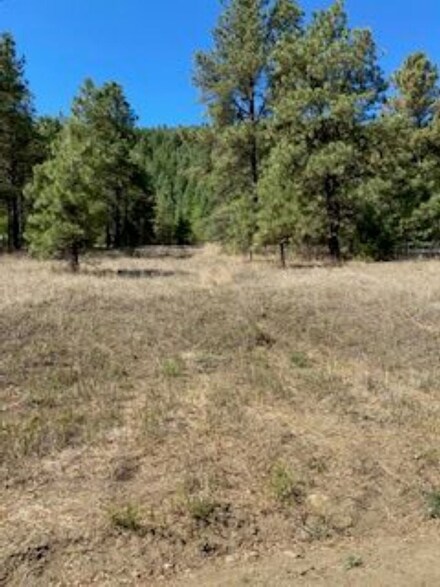C-001 Cebollita Canyon, Mora, NM 87701