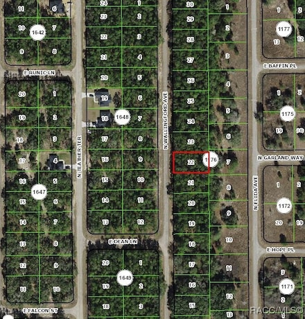 8645 N Wallingford Ave, Citrus Springs, FL 34434