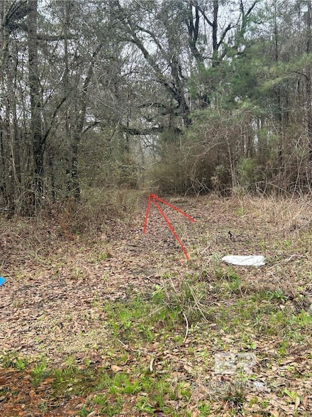 0 Allen St, Mount Vernon, AL 36560