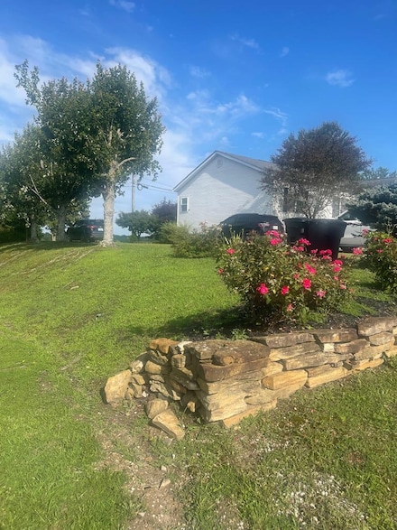 167 Outer Reef Rd, Chavies, KY 41727