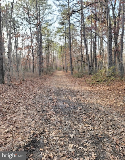 124 5th Ave, Mullica, NJ 08215