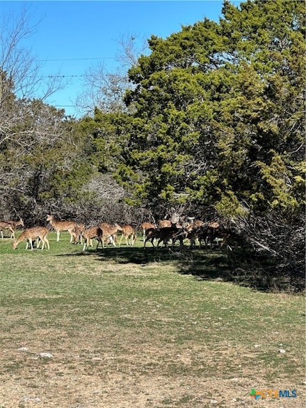 0 Deerwood Cir, Bandera, TX 78003