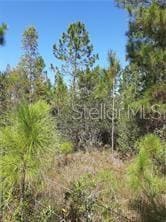 0 Salyers Rd Unit O6078900, Clermont, FL 34714
