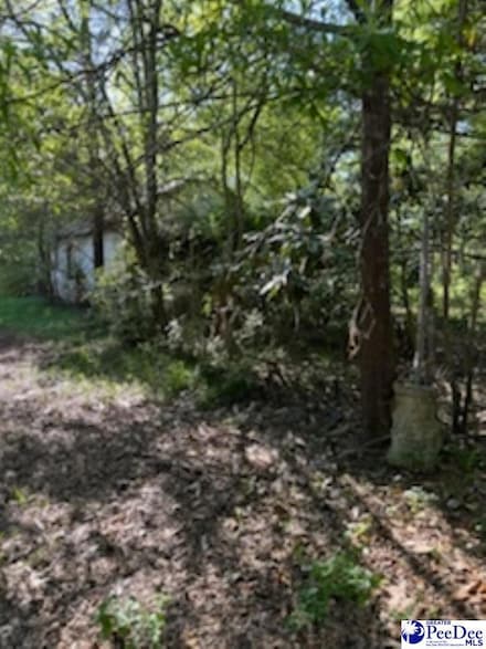 906 Tuskeegee St, Hartsville, SC 29550