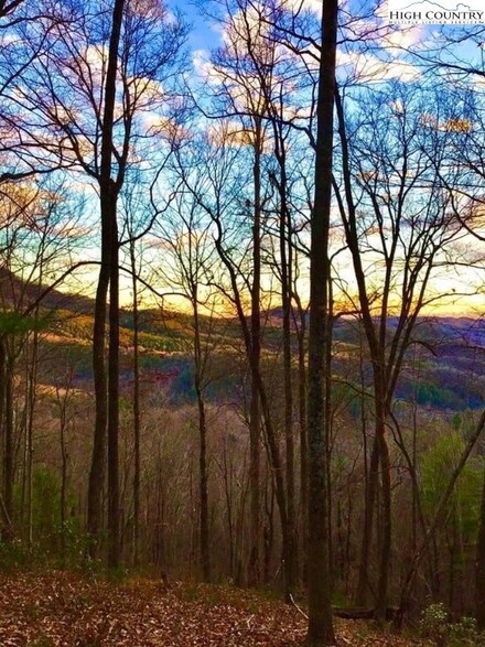 7730 Globe Rd, Blowing Rock, NC 28605