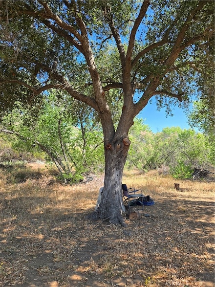 0 Los Altos Rd Unit IG25152669, Hemet, CA 92544