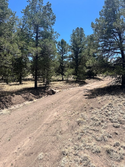 XX Campfire Trail Unit 56, Datil, NM 87821