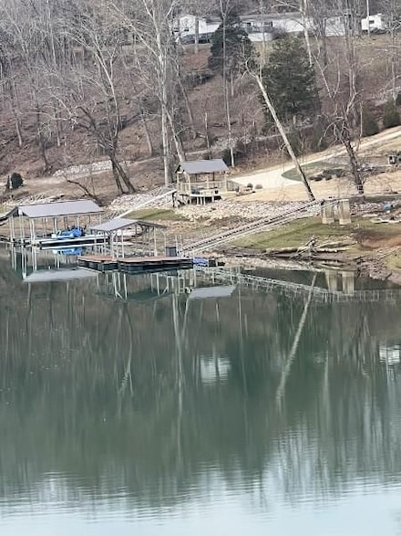 257 Earls Ln, Doyle, TN 38559