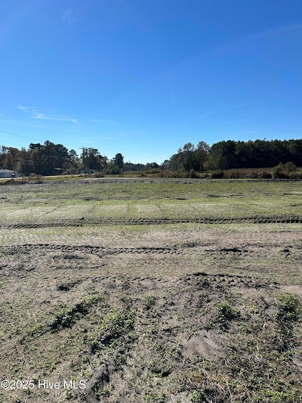 3 Hc Powers Rd, Wallace, NC 28466