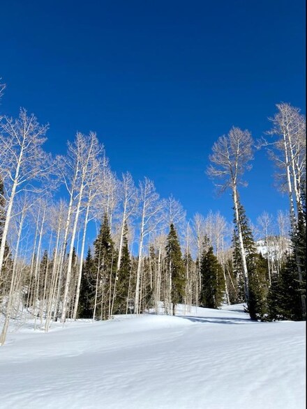 314 E Toboggan Ln Unit B, Brian Head, UT 84719