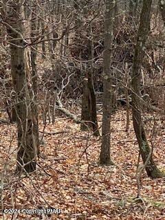 00 Pine Creek Rd, Lake Township, PA 18428