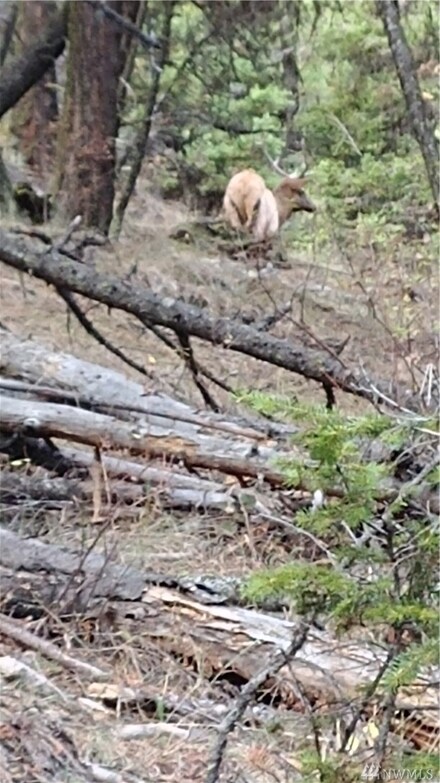 0 S Pass Rd Unit 1855478, Everson, WA 98247