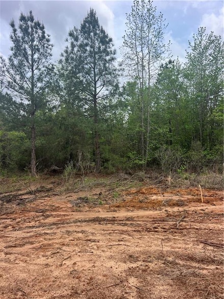 Tract 4 Hughart Rd, Pollock, LA 71467