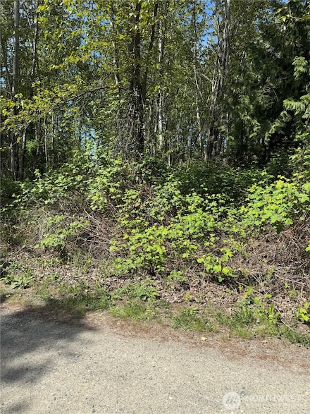 101 XX 221st Ave E, Bonney Lake, WA 98391