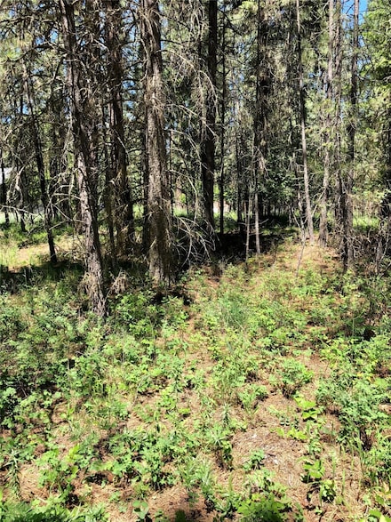 Nhn Syringa Ln, Libby, MT 59923