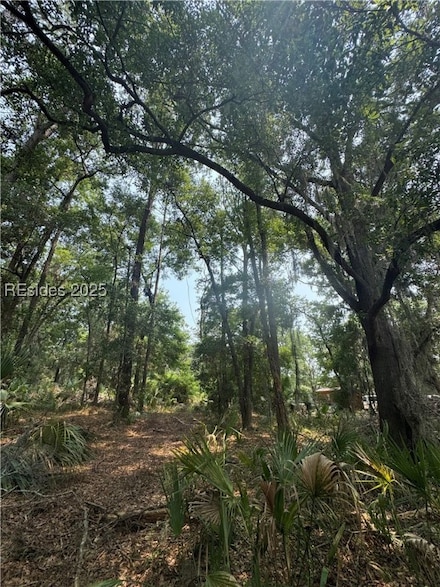 32 Haig Point Rd, Daufuskie Island, SC 29915