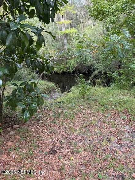 0 Skipper Rd Unit 2112749, Middleburg, FL 32068