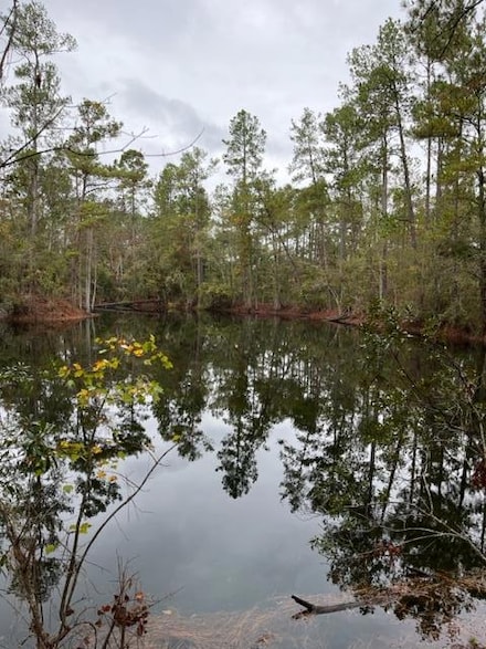 0 Hickory Grove Rd N Unit 142259, Valdosta, GA