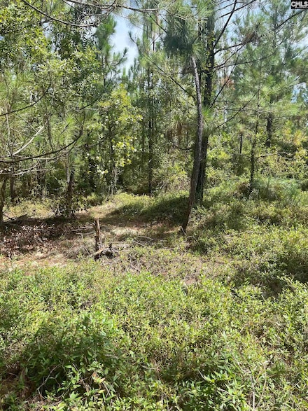 PPF 9 Payne Pond Rd Unit PPF 9, Westville, SC 29175