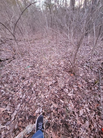 4-1 Lot 9 10, Corinth, KY 41010