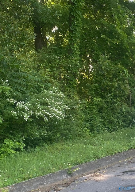 Lot 10-11 Blair St, Florence, AL 35630