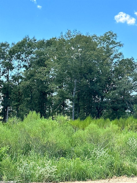 0 Hampton Ridge Ct Unit Lot 21 352388, Mobile, AL 36608