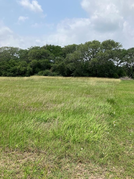 4 River Hollow Way, Blessing, TX 77457
