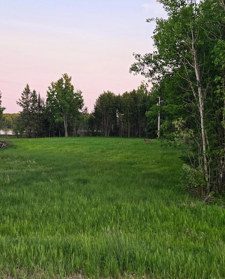 38093 County Road 45, Marcell, MN 56657